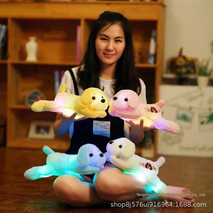 glowing dolphin plush