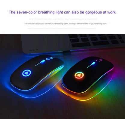 RGB lighting mouse