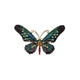 Black Butterfly
