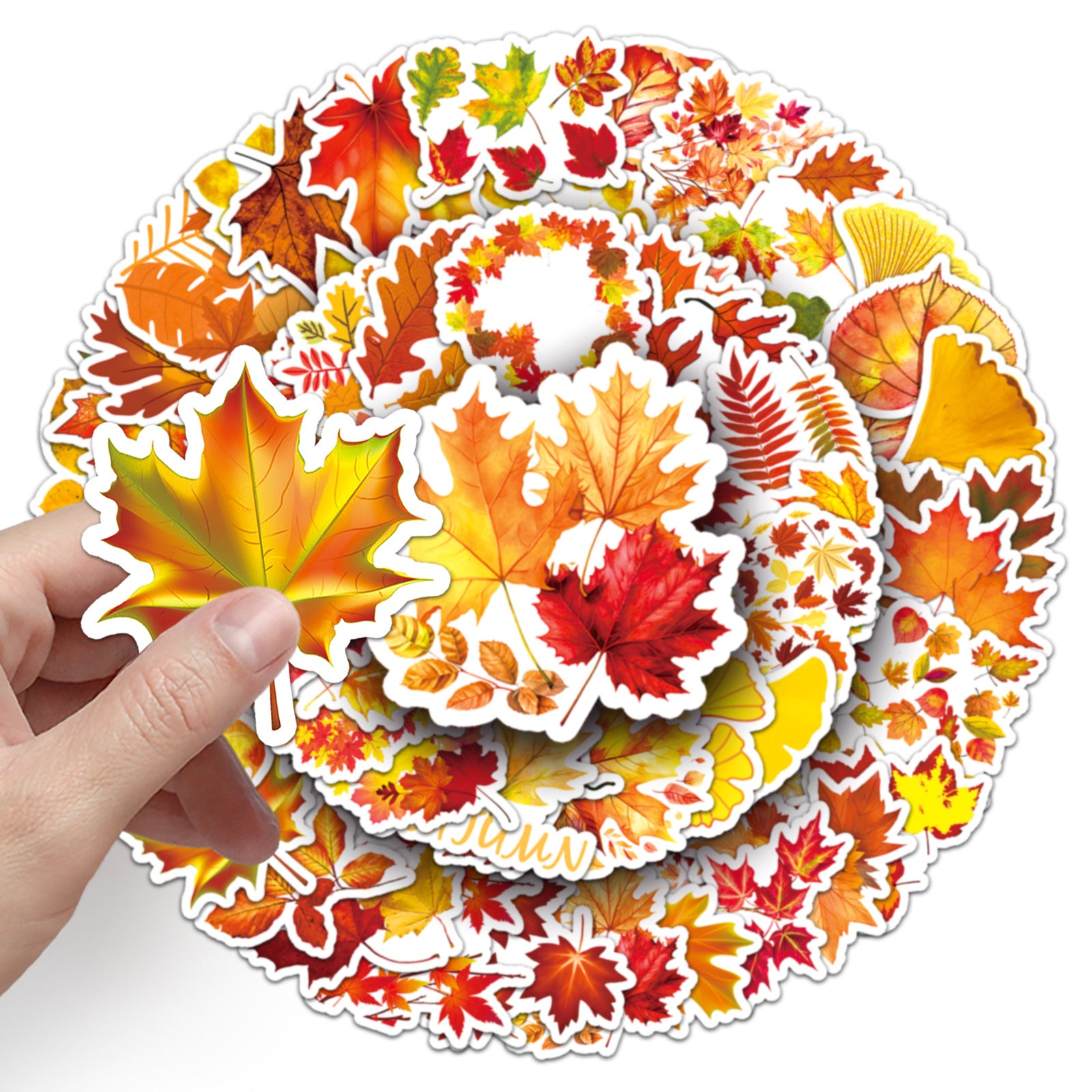 autumn leaves sticker