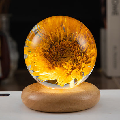 modern crystal night lamp with intricate dandelion and wood base