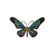 Black Butterfly