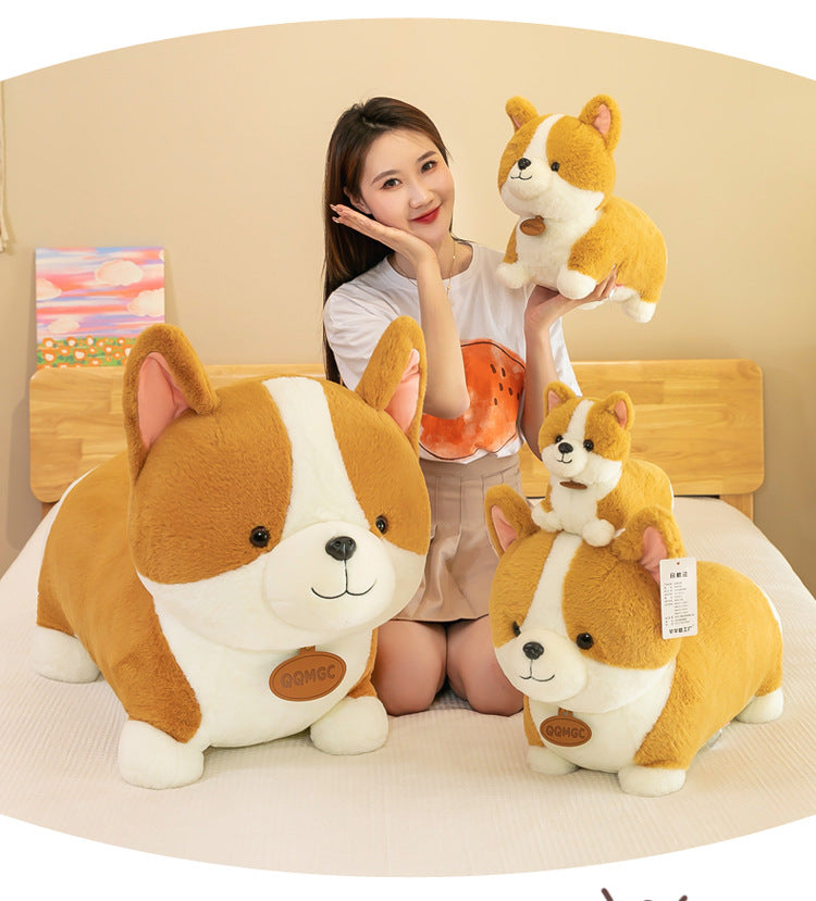 cozy plush corgi