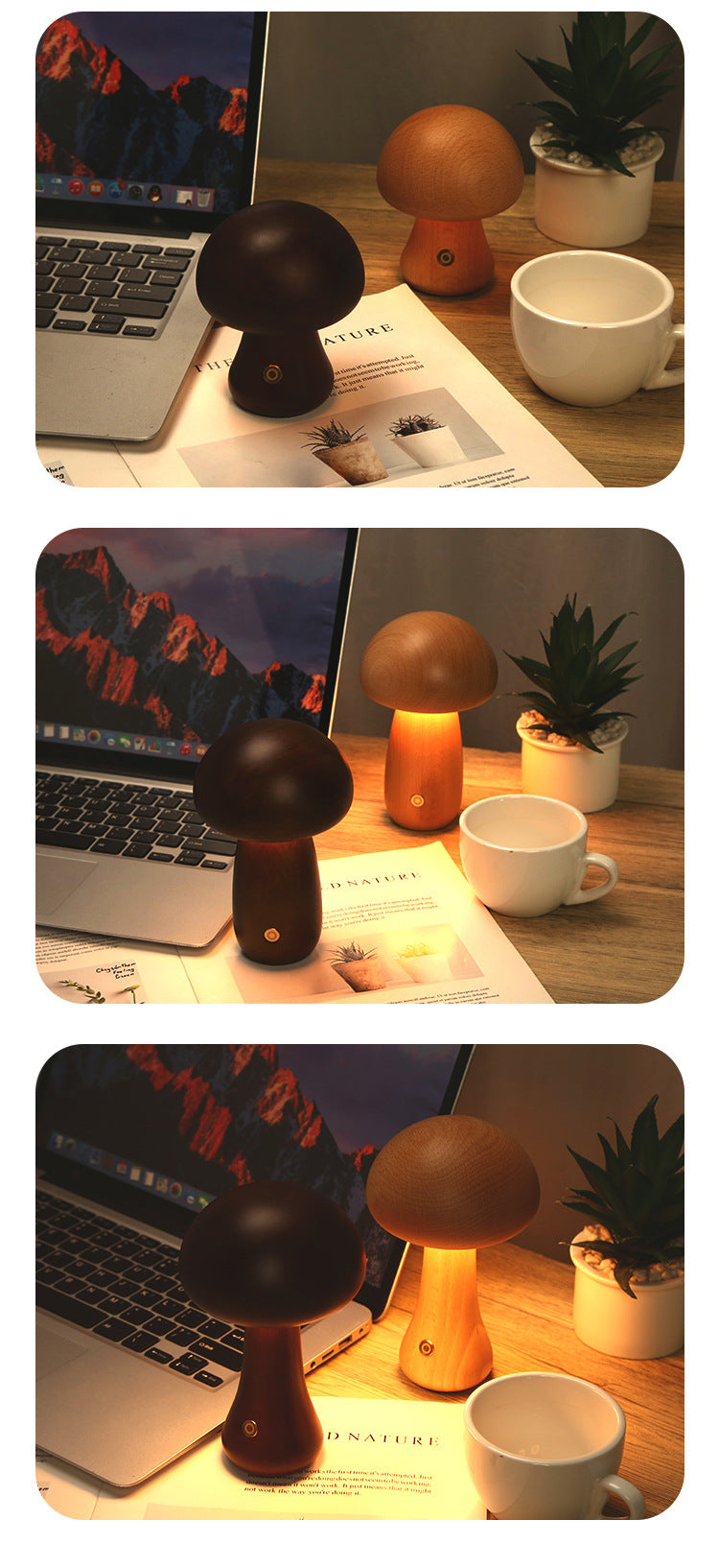 LED Table Lamp