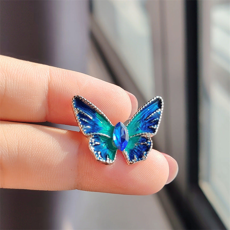 Versatile decorative brooch for gifts