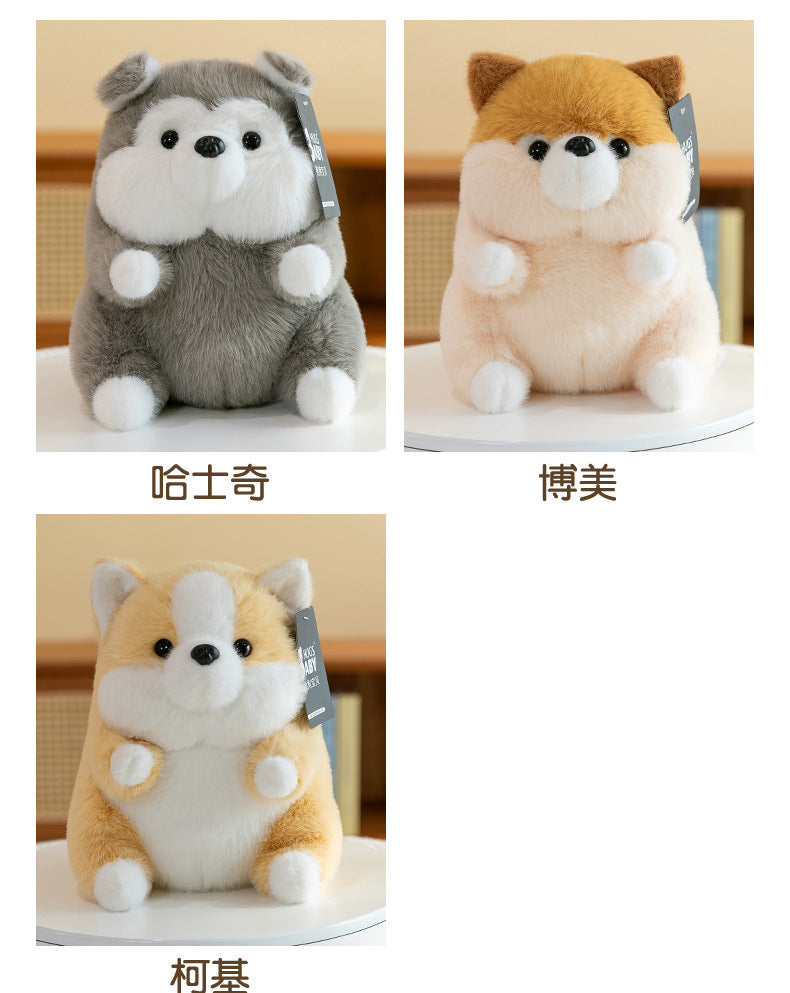 soft plush corgi