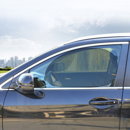 side view of car with black mesh window shade