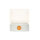 White (Pack of 1)
